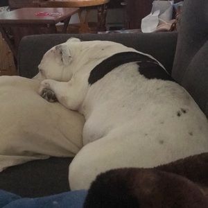 Meet your Posher, Brenda